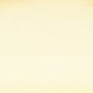 Meet your Posher, Liza